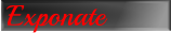 Exponate