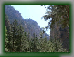 ..der Weg zur Samaria - Schlucht ( Mein Stern Sonja)