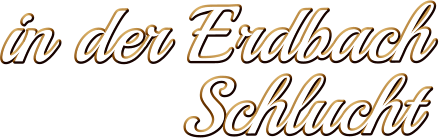 in der Erdbach Schlucht